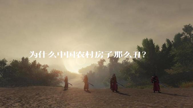 为什么中国农村房子那么丑？