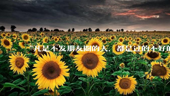 “凡是不发朋友圈的人，都是过的不好的人”你认同这句话吗为什么？