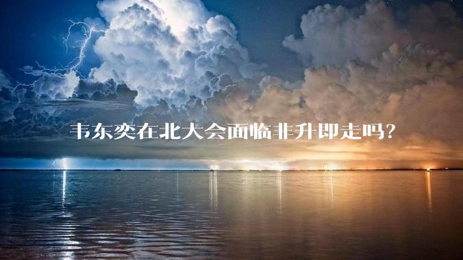韦东奕在北大会面临非升即走吗？