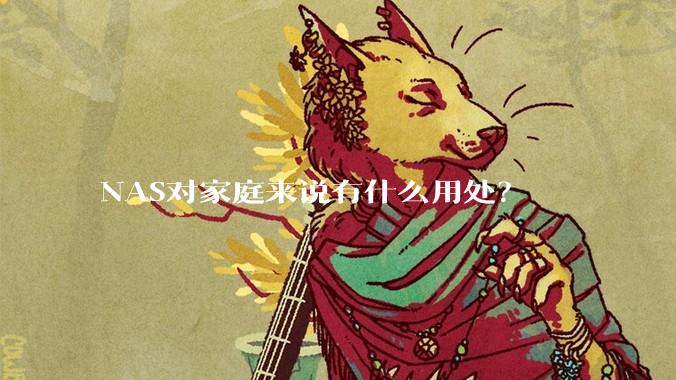NAS对家庭来说有什么用处？