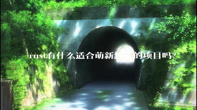 rust有什么适合萌新练手的项目吗？